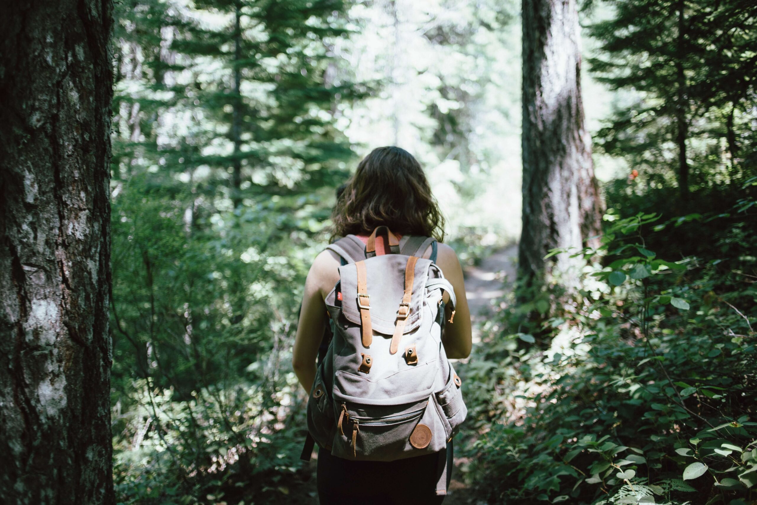 jake-melara-Yh6K2eTr_FY-unsplash1-scaled.jpg