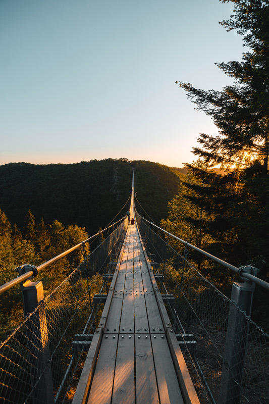 tobias-reich-r2R7WqVJ7ws-unsplash-1.jpg
